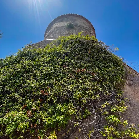 Il Faro Bad And Breakfast San Nicola Arcella